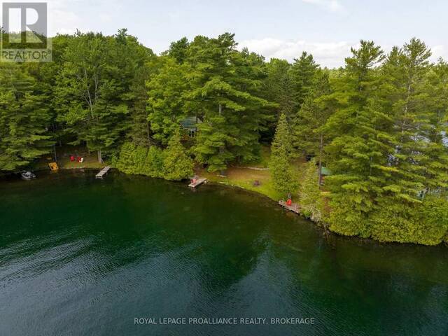 1166 ROCKY LANE Addington Highlands Ontario, K0H 1K0 - 3 Bedrooms Waterfront Home For sale