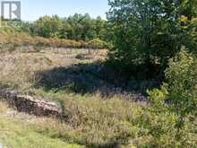 LOT 16 BATTERSEA ROAD | South Frontenac Ontario | Slide Image Thirty-nine