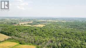 LOT C TOWNLINE ROAD | Loyalist Ontario | Slide Image Eleven