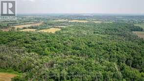 LOT C TOWNLINE ROAD | Loyalist Ontario | Slide Image Twelve
