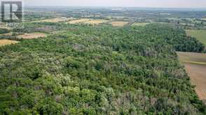 LOT C TOWNLINE ROAD | Loyalist Ontario | Slide Image Thirteen