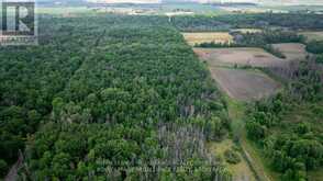 LOT C TOWNLINE ROAD | Loyalist Ontario | Slide Image Two