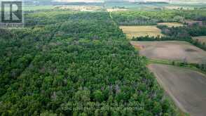 LOT C TOWNLINE ROAD | Loyalist Ontario | Slide Image Three