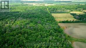 LOT C TOWNLINE ROAD | Loyalist Ontario | Slide Image Four