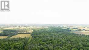 LOT C TOWNLINE ROAD | Loyalist Ontario | Slide Image Eight
