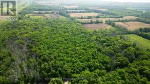 LOT B TOWNLINE ROAD | Loyalist Ontario | Slide Image Ten