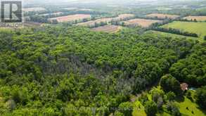 LOT B TOWNLINE ROAD | Loyalist Ontario | Slide Image Eleven