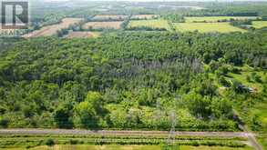 LOT B TOWNLINE ROAD | Loyalist Ontario | Slide Image Twelve