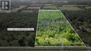 LOT B TOWNLINE ROAD | Loyalist Ontario | Slide Image One