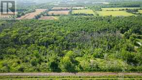 LOT B TOWNLINE ROAD | Loyalist Ontario | Slide Image Three