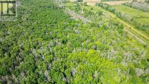 LOT B TOWNLINE ROAD | Loyalist Ontario | Slide Image Four