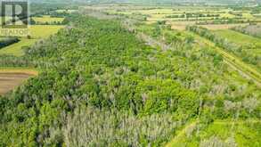 LOT B TOWNLINE ROAD | Loyalist Ontario | Slide Image Five