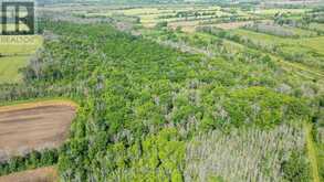 LOT B TOWNLINE ROAD | Loyalist Ontario | Slide Image Six