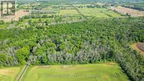 LOT B TOWNLINE ROAD | Loyalist Ontario | Slide Image Seven