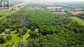 LOT B TOWNLINE ROAD | Loyalist Ontario | Slide Image Nine