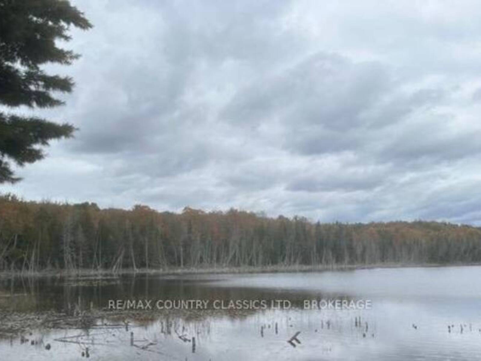 LT 1, PL 1839 BULL LAKE ROAD, Arden, Ontario K0H 1B0