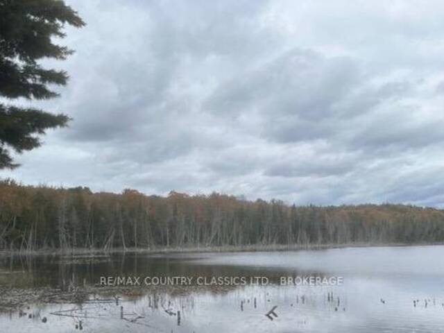 LT 1, PL 1839 BULL LAKE ROAD Arden Ontario, K0H 1B0 - Waterfront Land For Sale