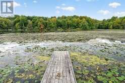 813 PIERCE'S LANE | Leeds and the Thousand Islands Ontario | Slide Image Ten