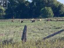 PT LT 19 CON 4 COUNTY RD 8 | Greater Napanee Ontario | Slide Image Seventeen