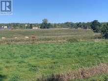 PT LT 19 CON 4 COUNTY RD 8 | Greater Napanee Ontario | Slide Image Twenty-four