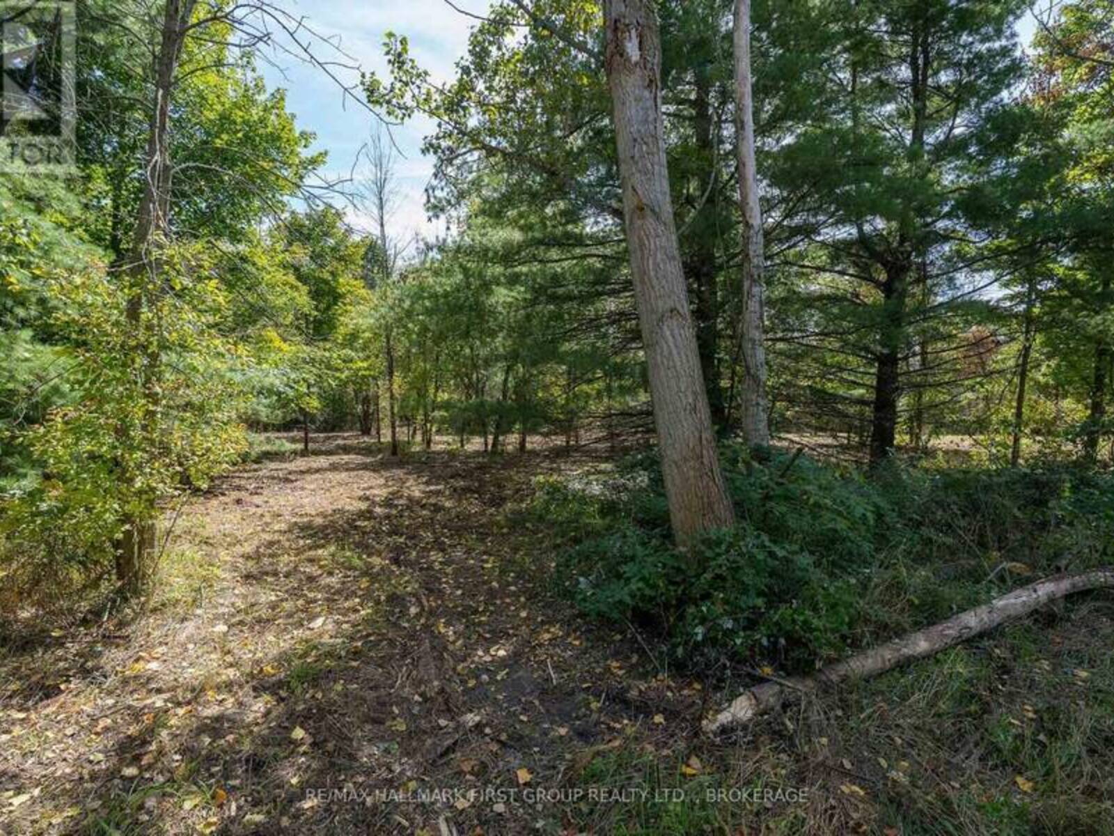 00 PALACE ROAD, Greater Napanee, Ontario K7R 3L2