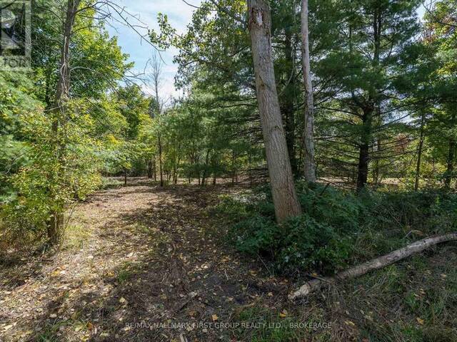 00 PALACE ROAD Greater Napanee Ontario, K7R 3L2 - Vacant Land For Sale