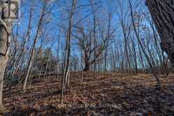 LOT 5 HINTERLAND LANE | South Frontenac Ontario | Slide Image Thirty-one