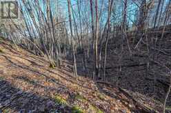 LOT 5 HINTERLAND LANE | South Frontenac Ontario | Slide Image Thirty-two