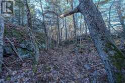 LOT 5 HINTERLAND LANE | South Frontenac Ontario | Slide Image Thirty-three