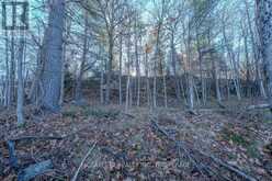 LOT 5 HINTERLAND LANE | South Frontenac Ontario | Slide Image Thirty-five