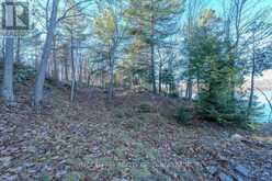 LOT 5 HINTERLAND LANE | South Frontenac Ontario | Slide Image Thirty-eight