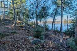 LOT 5 HINTERLAND LANE | South Frontenac Ontario | Slide Image Forty-three