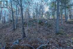 LOT 5 HINTERLAND LANE | South Frontenac Ontario | Slide Image Forty-four