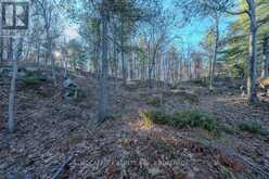 LOT 5 HINTERLAND LANE | South Frontenac Ontario | Slide Image Forty-five