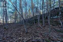 LOT 5 HINTERLAND LANE | South Frontenac Ontario | Slide Image Forty-six