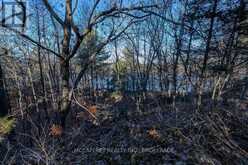 LOT 5 HINTERLAND LANE | South Frontenac Ontario | Slide Image Forty-eight