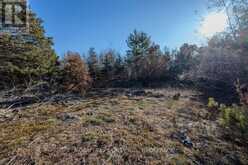 LOT 5 HINTERLAND LANE | South Frontenac Ontario | Slide Image Forty-nine
