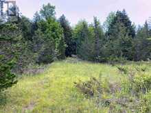 0 COLEBROOK ROAD | Stone Mills Ontario | Slide Image Three
