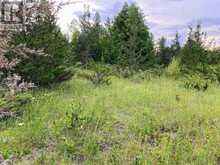 0 COLEBROOK ROAD | Stone Mills Ontario | Slide Image Four