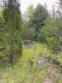0 COLEBROOK ROAD | Stone Mills Ontario | Slide Image Five