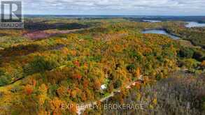 1256 ELM TREE ROAD | Arden Ontario | Slide Image Seventeen