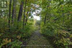 106 OLD RIVER ROAD | Leeds and the Thousand Islands Ontario | Slide Image Thirty-four