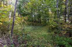106 OLD RIVER ROAD | Leeds and the Thousand Islands Ontario | Slide Image Thirty-five