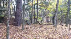 0 SHERMAN SPRINGS ROAD | Mallorytown Ontario | Slide Image Eleven