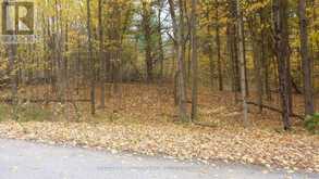 0 SHERMAN SPRINGS ROAD | Mallorytown Ontario | Slide Image Thirteen