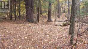 0 SHERMAN SPRINGS ROAD | Mallorytown Ontario | Slide Image Fifteen
