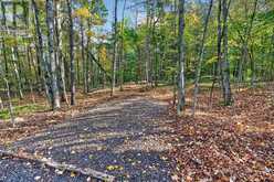 0 SHERMAN SPRINGS ROAD | Mallorytown Ontario | Slide Image Three