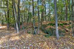 0 SHERMAN SPRINGS ROAD | Mallorytown Ontario | Slide Image Eight