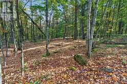 0 SHERMAN SPRINGS ROAD | Mallorytown Ontario | Slide Image Nine