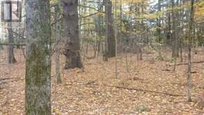 0 SHERWOOD SPRINGS ROAD | Mallorytown Ontario | Slide Image Twenty-two